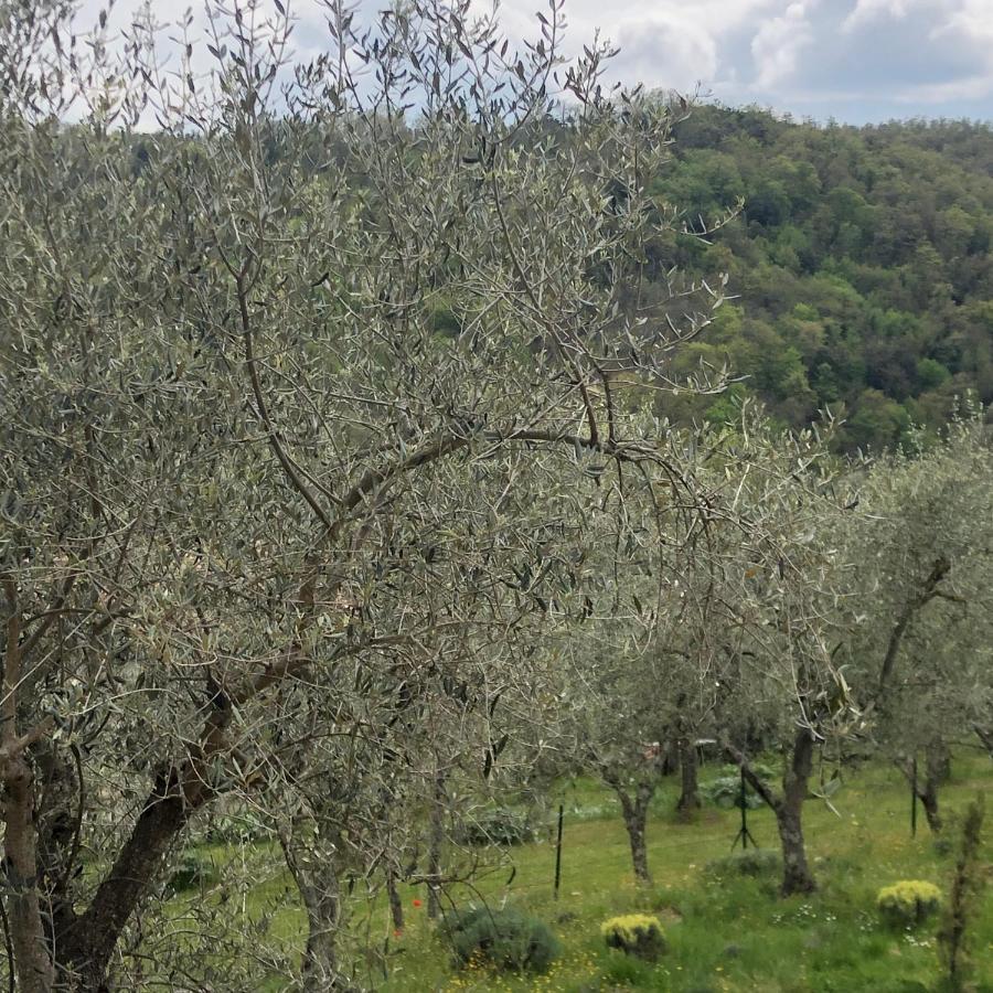 La Maison De Campagne Rigomagno Εξωτερικό φωτογραφία